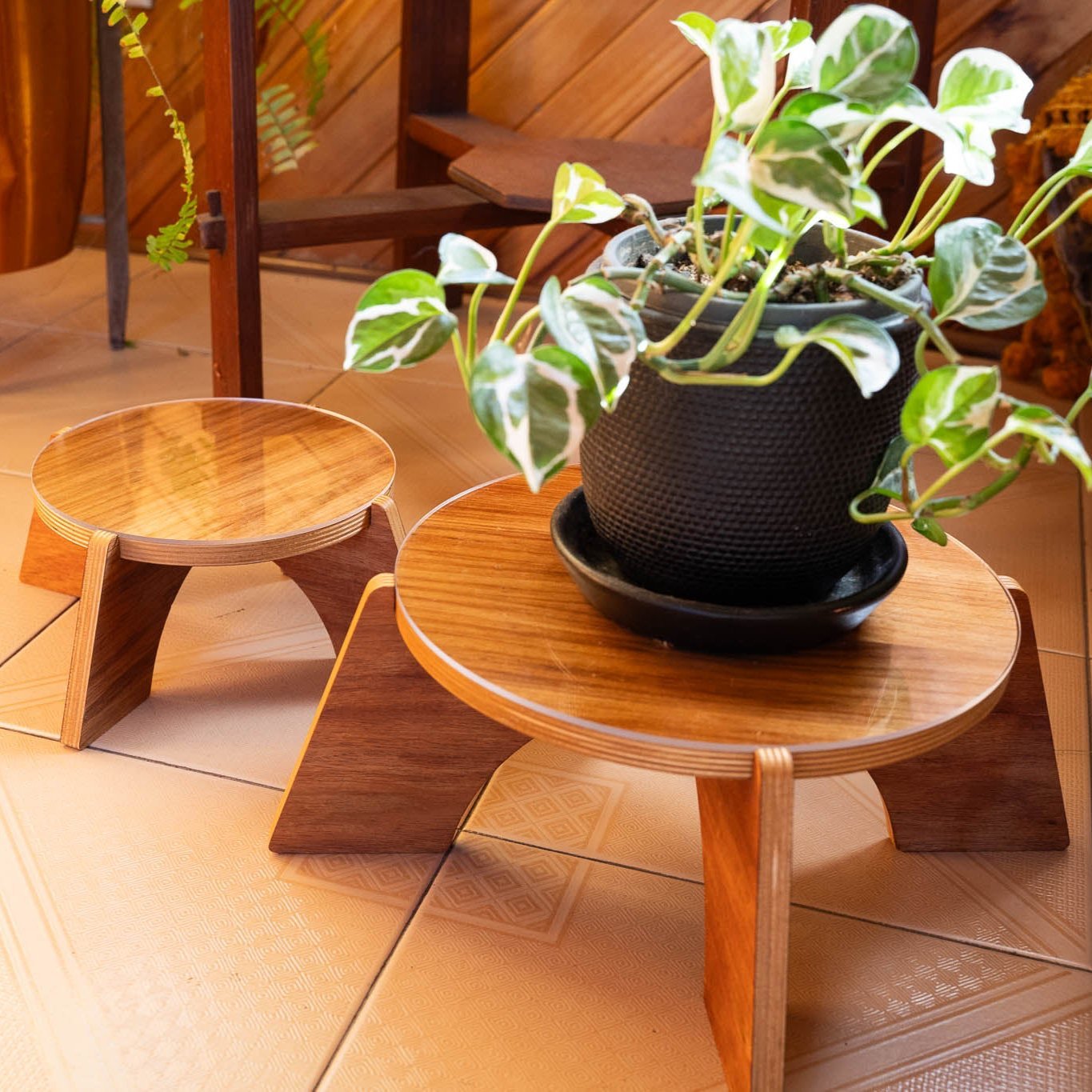 Elevate Plant Stand - Dubird
