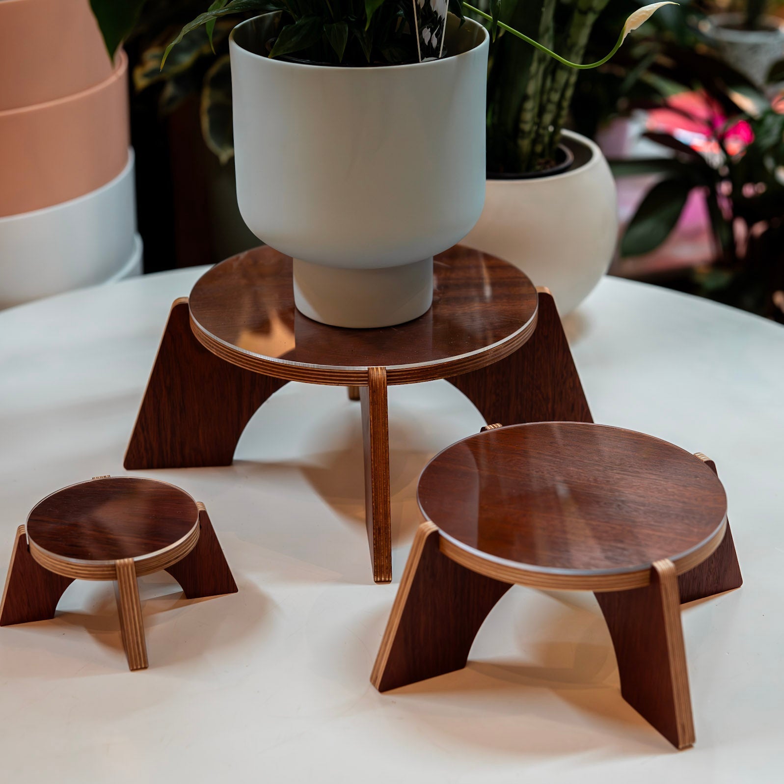 Elevate Plant Stand - Dubird