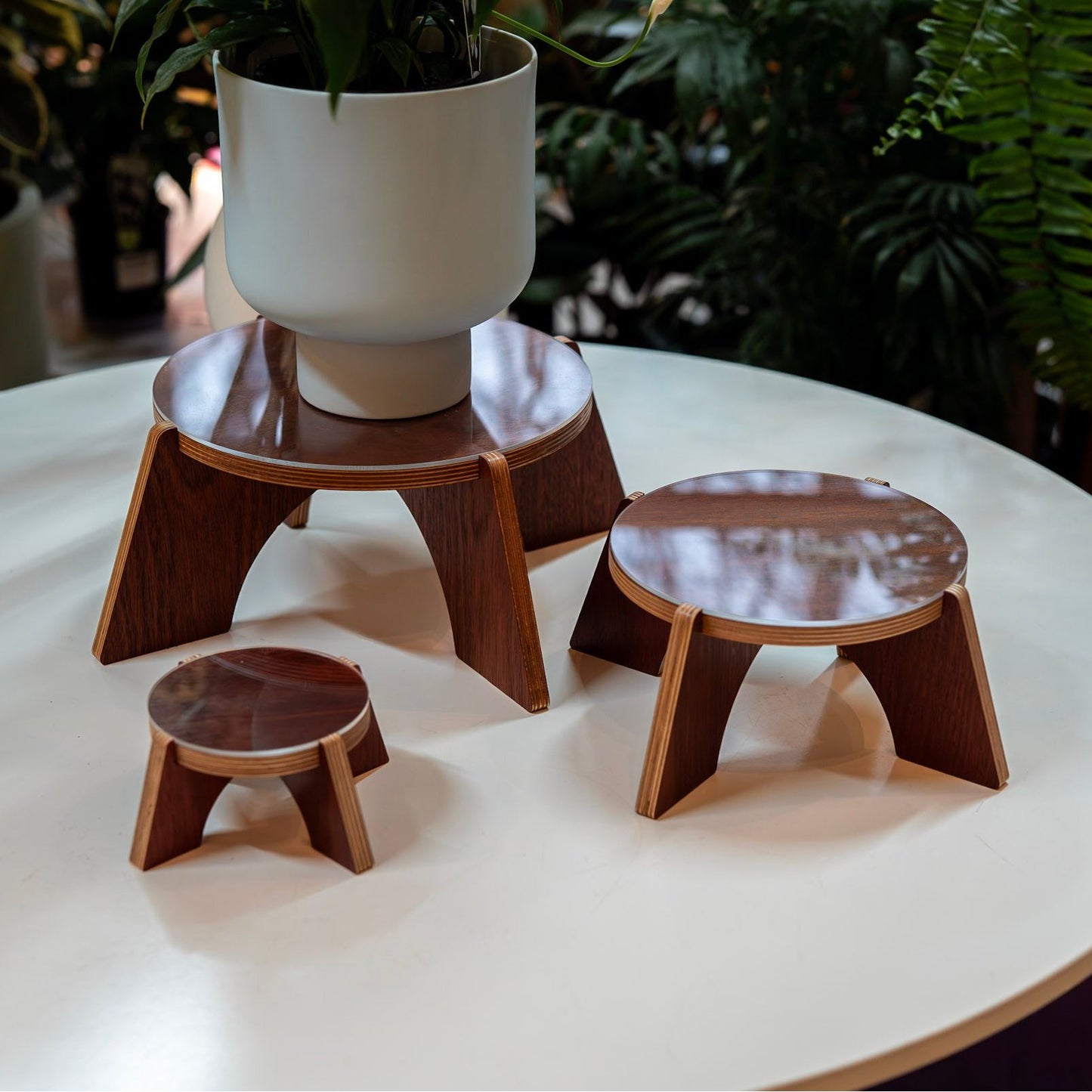 Elevate Plant Stand - Dubird