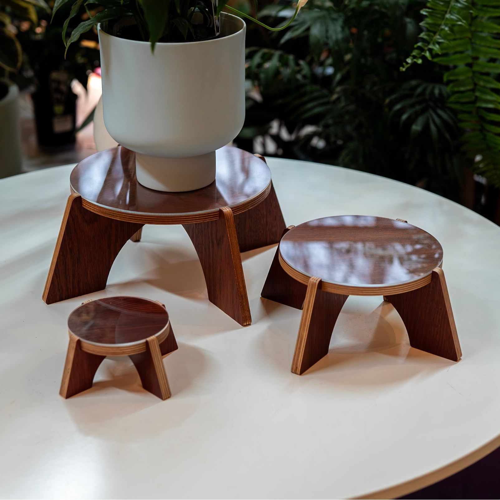 Elevate Plant Stand - Dubird