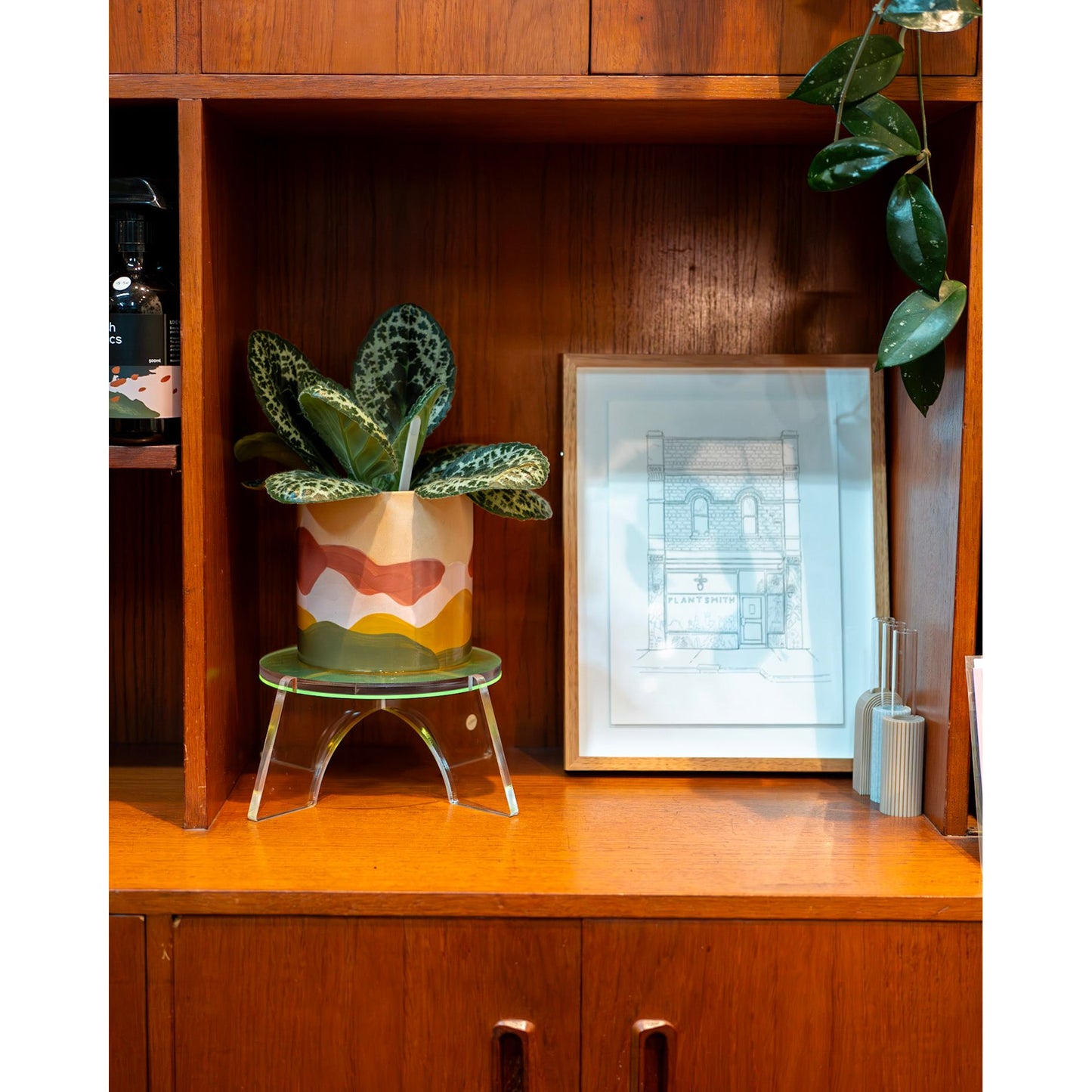 Levitate Plant Stand - Float Your Greenery - Dubird