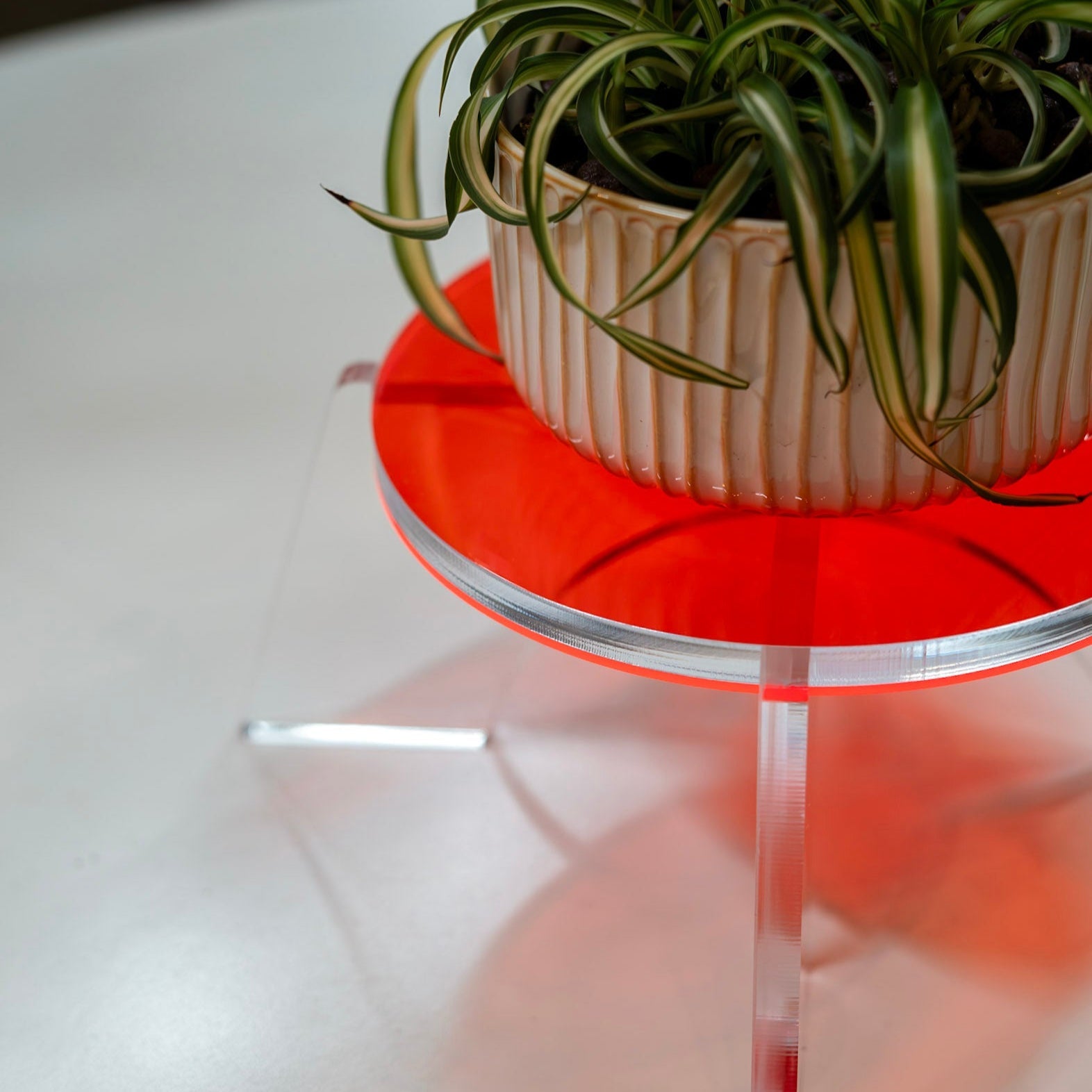 Levitate Plant Stand - Float Your Greenery - Dubird