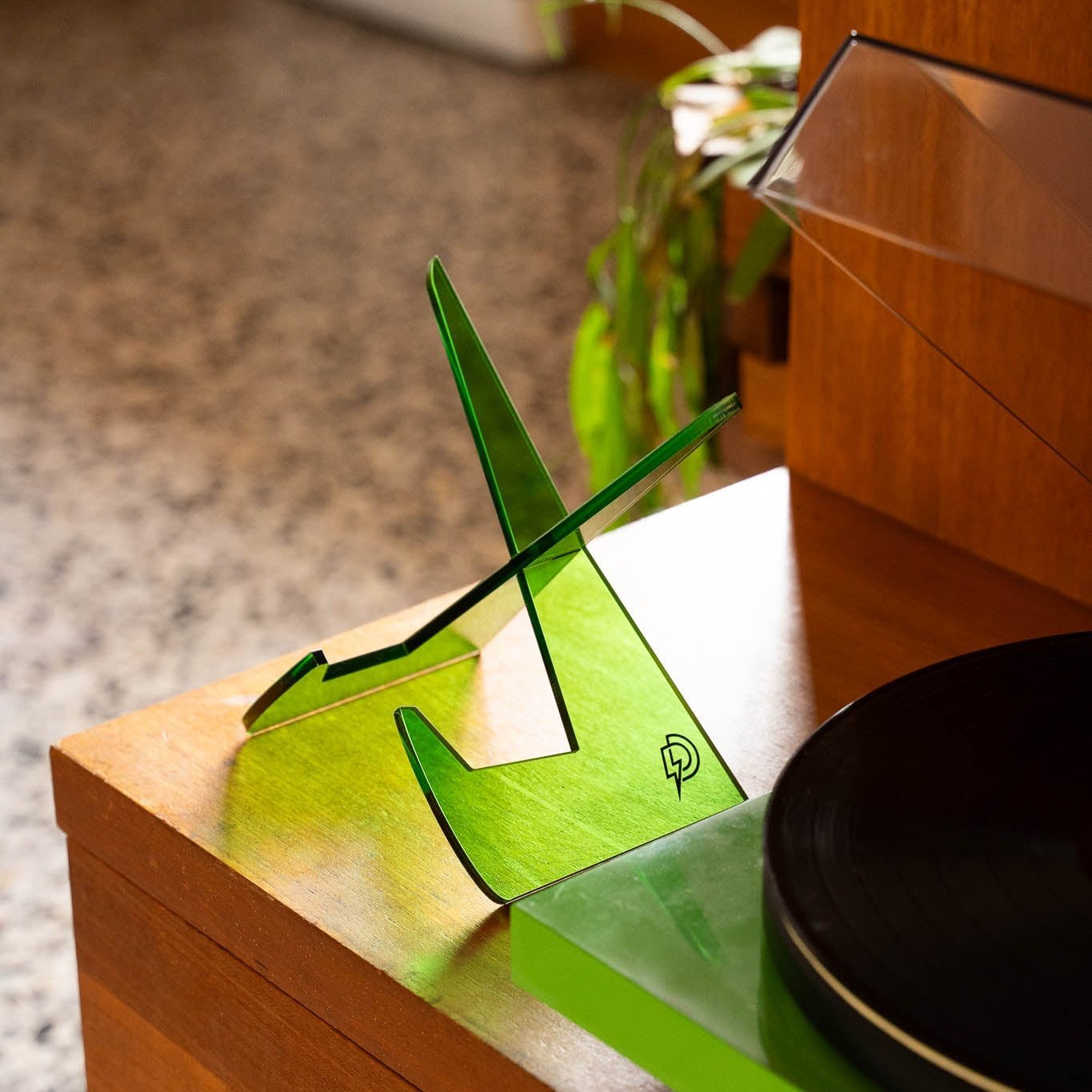 Dubird record stand styled with indoor plant on shelf, Melbourne